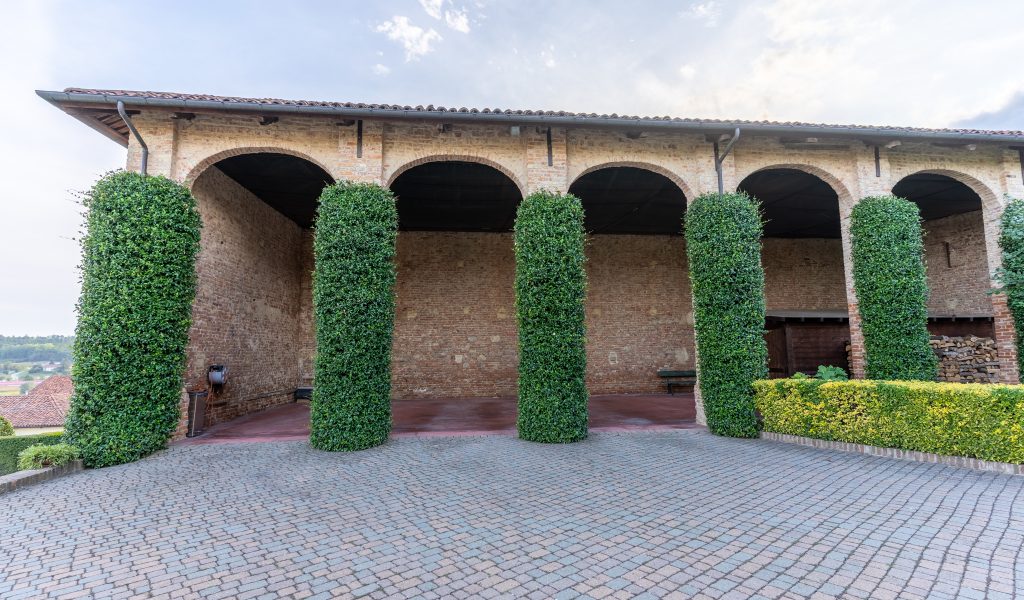 DSC05653-HDR