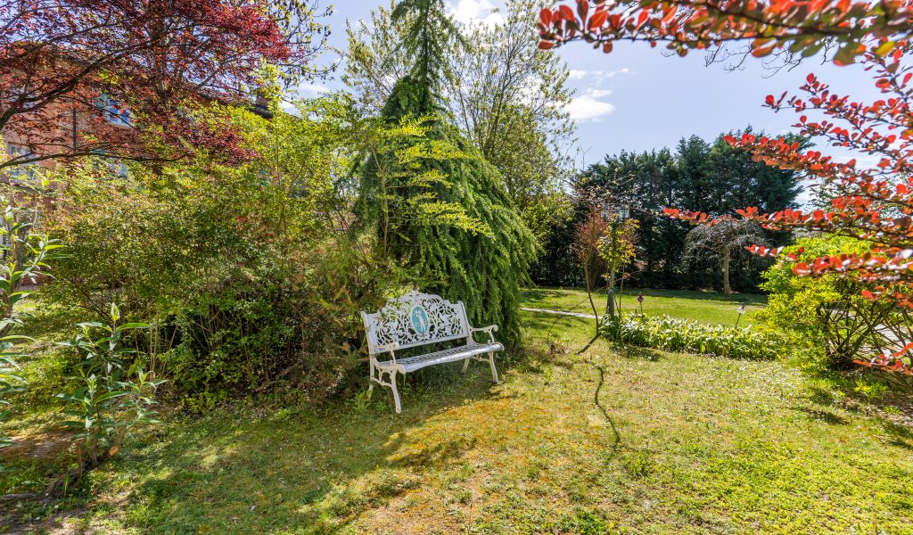 DSC08094-HDR